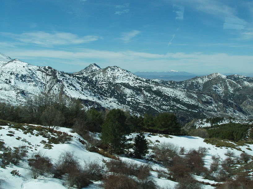 Sierra Nevada