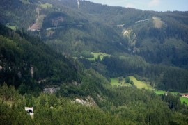 Descubre a la cabra salvaje de los Alpes en Gerlos