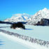 Auf der Suche nach einer Winter Herausforderung mit der Familie? Registrieren Sie sich für den Engadin Skimarathon!
