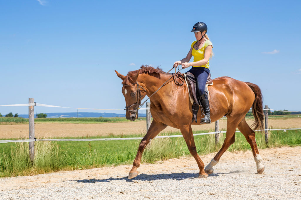 Horse riding