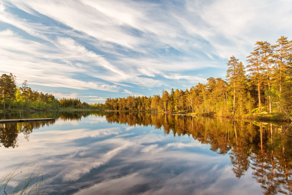 Reflections in a lake in Smaland, Sweden