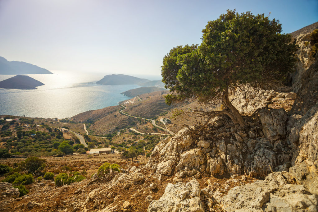 L’île de Kalymnos, Kardamena