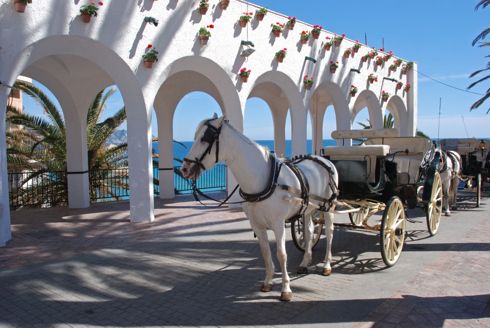 Horse and carriage ride, Nerja