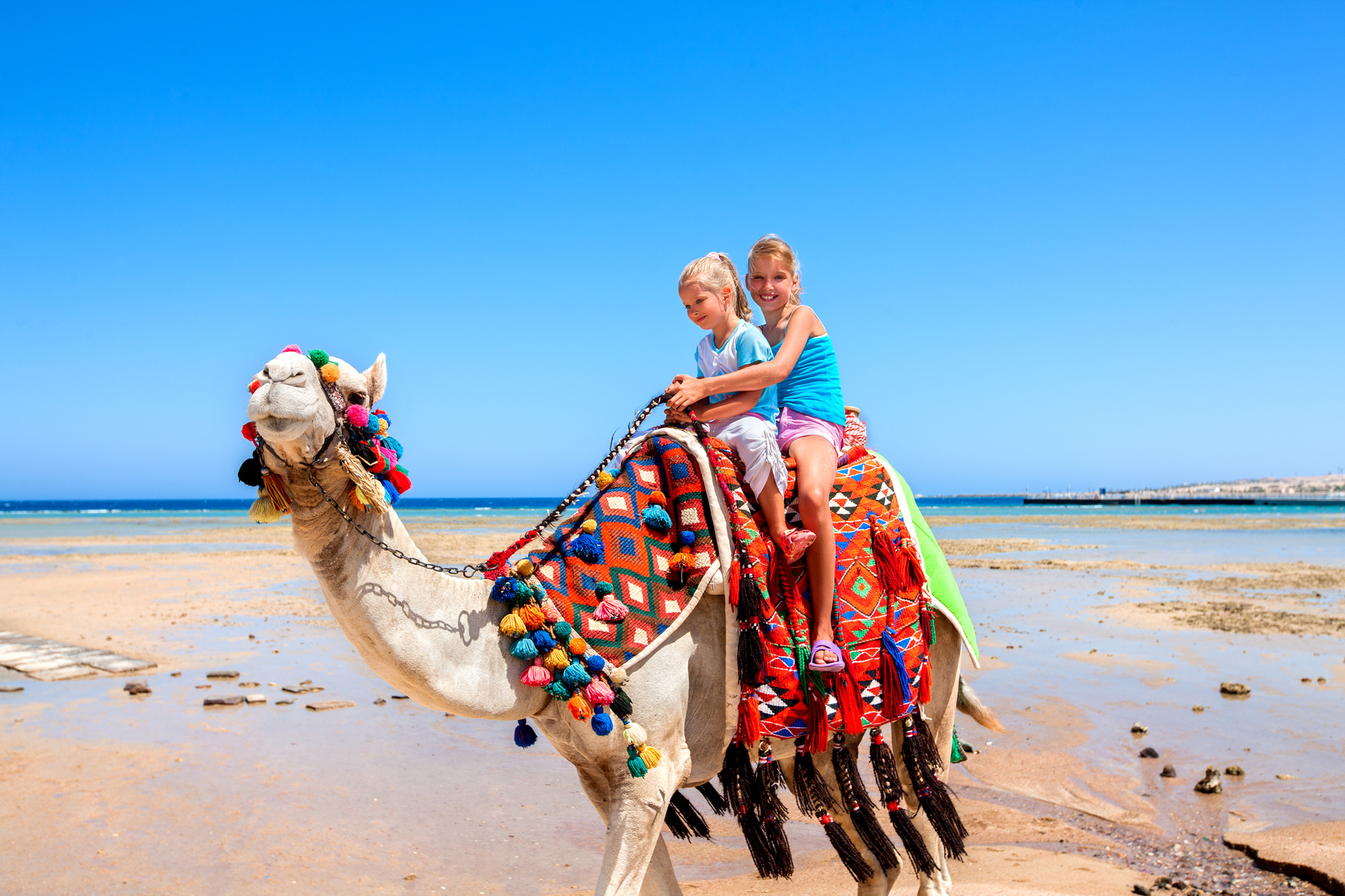 Children riding camel on beach