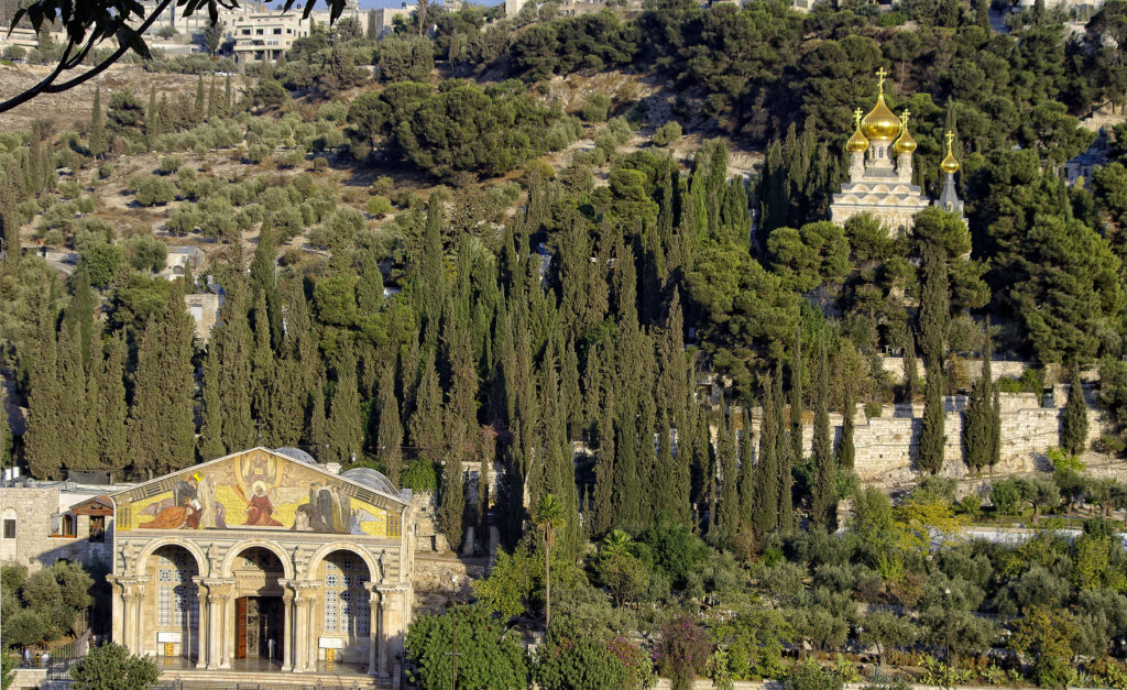 Mount Of Olives. Jerusalem, Israel