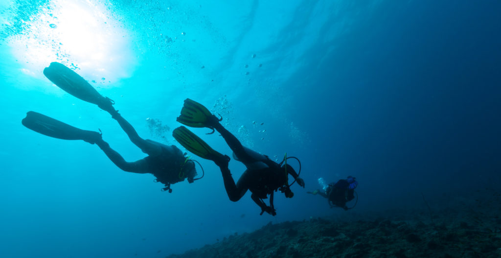 Group of scuba divers underwater in depth