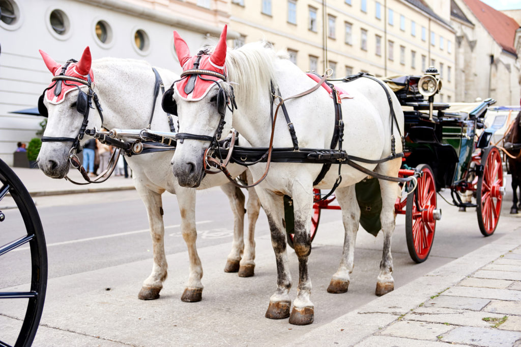 Horse-drawn carriage (Fiacre) waiting for a tourists in the old city in Vienna, Austria