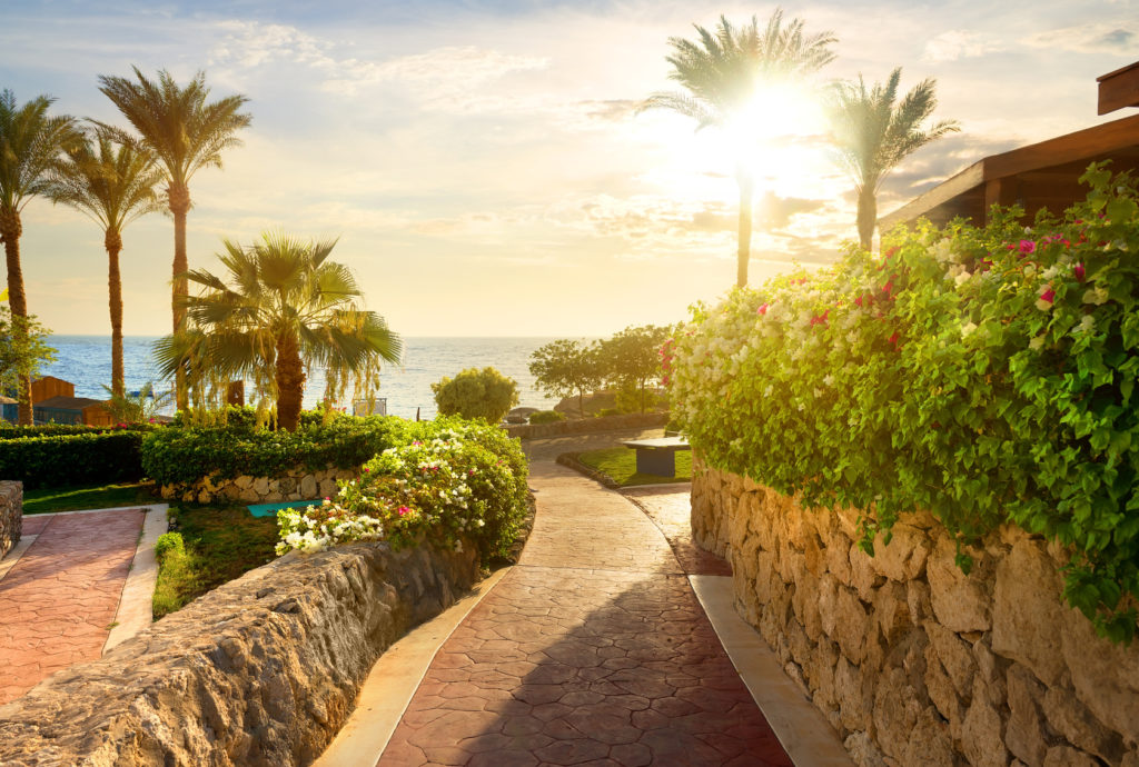 Way to beach of the red sea at sunset
