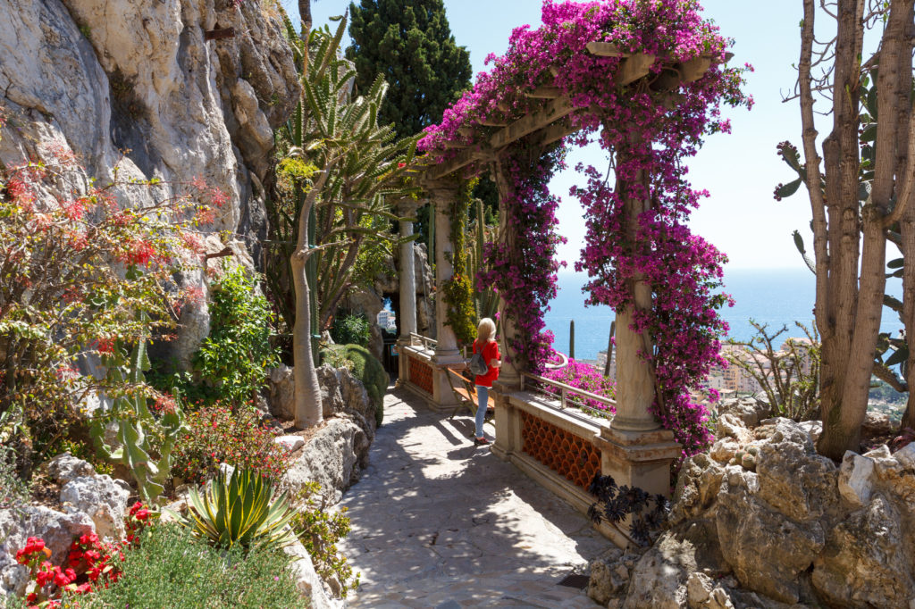 A beautiful exotic garden in Monaco with a lot of plants