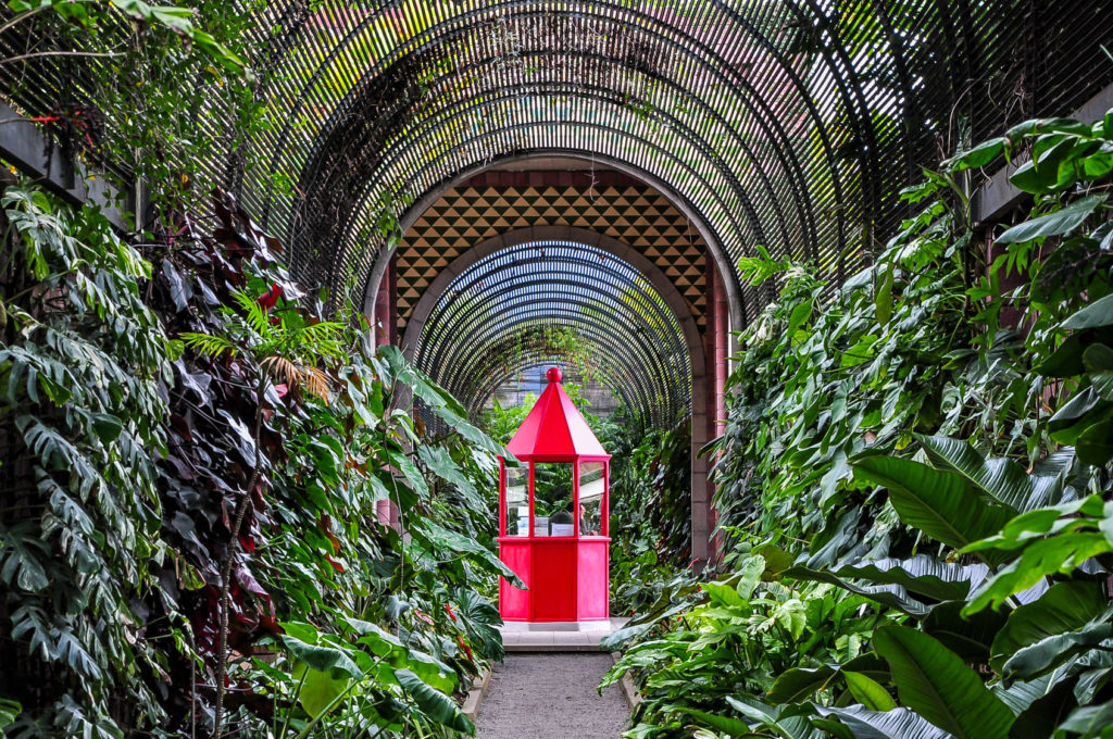 Red booth in botanical garden in Puerto de la Cruz, Tenerife, Canary islands, Spain