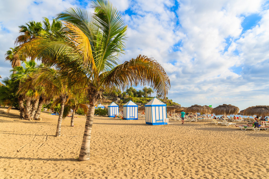 Palm trees on exotic sandy El Duque beach in Costa Adeje town, Tenerife, Canary Islands, Spain