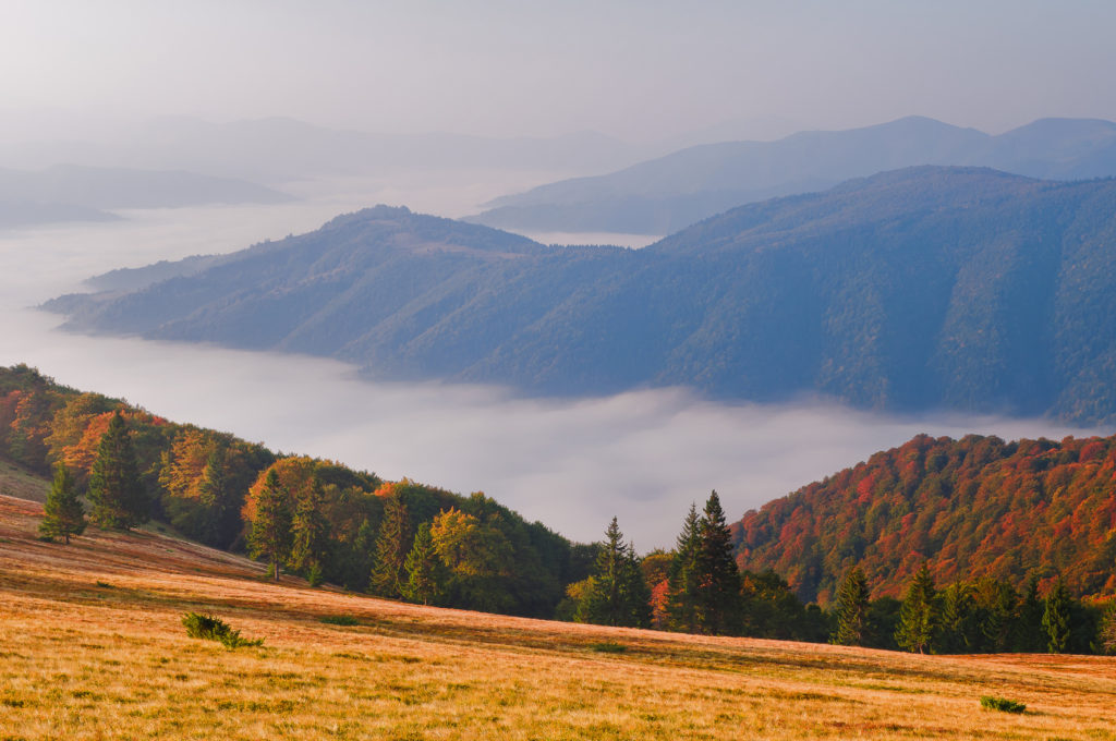 Autumn mountain landscape at sunrise with sea fog in the valley. Europe, Ukraine, Carpathian Mountains