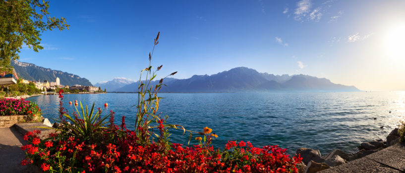 Ein See-Reiseführer nach Genf