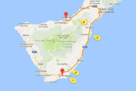 Nature Galore from Tenerife South Airport to Puerto de la Cruz