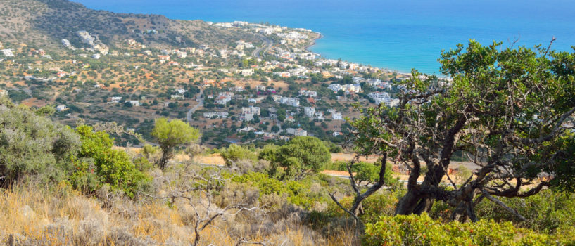 A Family Holiday in Stalis, Crete