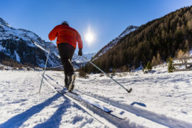 Langlauf in Seefeld in Tirol
