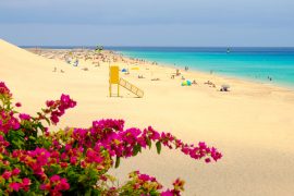 Piérdete entre los hermosos espacios naturales que te ofrece Jandía, en Fuerteventura