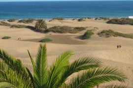 Maspalomas: Dunes and Nature on the Doorstep
