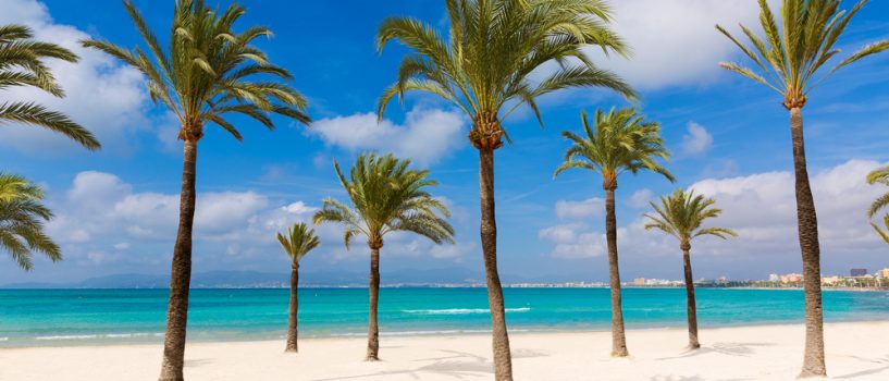 Disfruta de tus vacaciones estivales más completas en El Arenal, en la isla de Mallorca