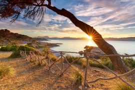 Wine, Wildlife and Way Back When: Your Transfer to Alcúdia