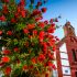 Torrox Costa: Málagas entspanntestes Reiseziel