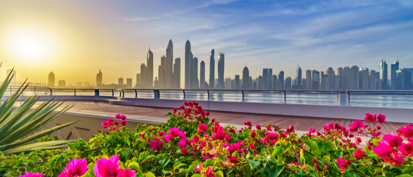Discovering Dubai from Sunrise to Sunset: Our Tips