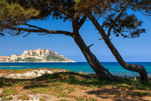 La Plage de Calvi, Corse Tote Bag