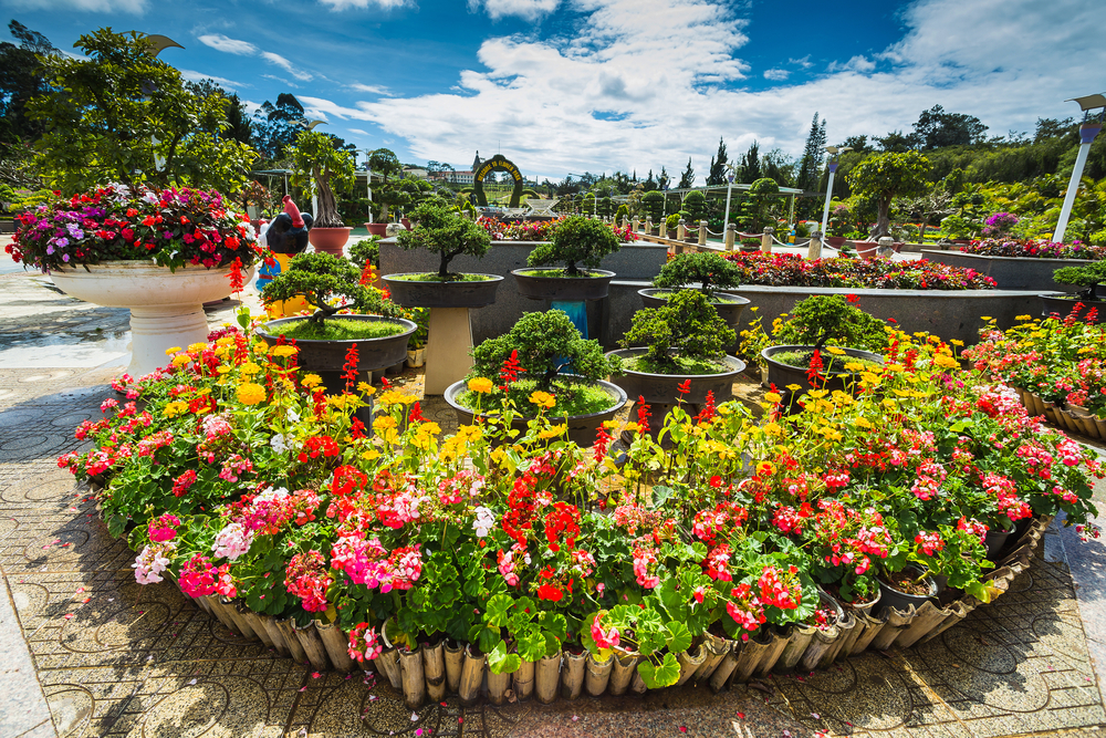 Travel Guide to Dalat - Gateway to the Central Highlands of Vietnam