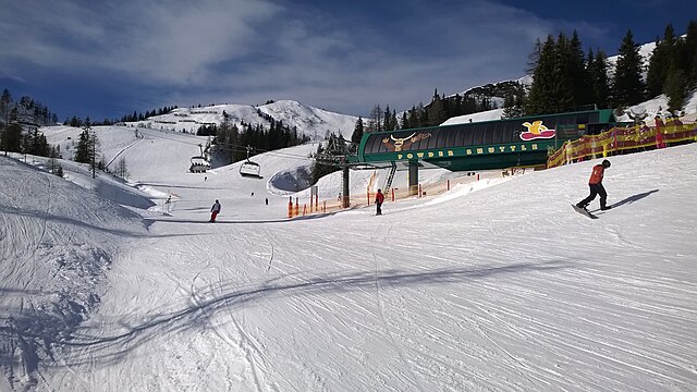 Stöger Florian D. M.