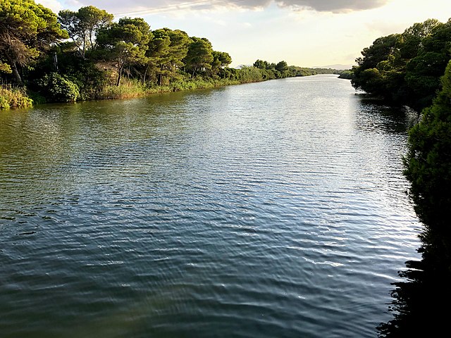 Parc Natural de s'Albufera de Mallorca.jpg