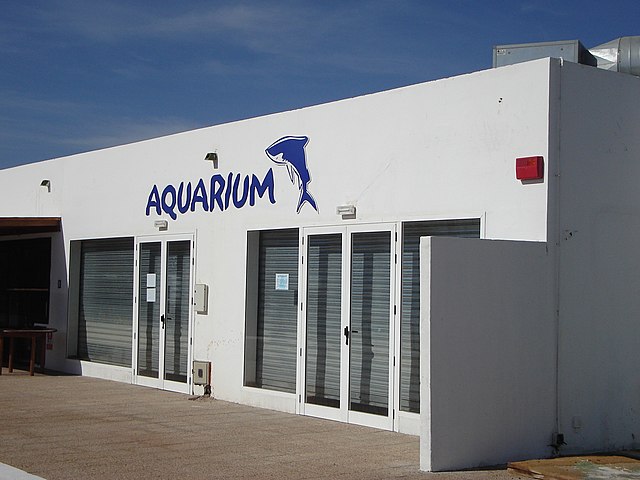 Lanzarote Aquarium - panoramio.jpg